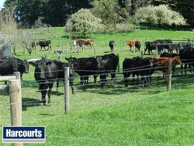 Third view of Homely rural property listing, 25 McIntosh Road, Strzelecki VIC 3950