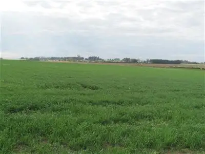 Third view of Homely rural property listing, . Green Rises Road, Cressy TAS 7302