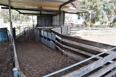 Seventh view of Homely rural property listing, Address available on request