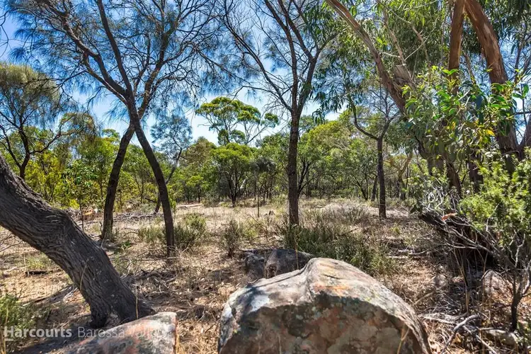 Fourth view of Homely rural property listing, 597 Rifle Range Road, Flaxman Valley SA 5235