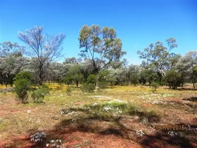 Fifth view of Homely rural property listing, * West Wilgaroon, Cobar NSW 2835