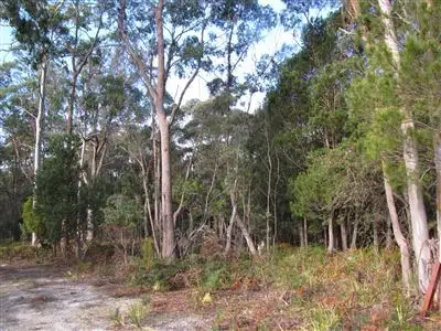 Lot 3 Greens Beach Road, York Town TAS 7270