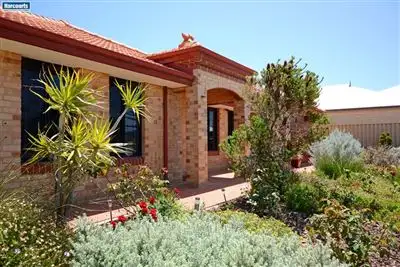 17 Bodorgan Avenue, Butler WA 6036