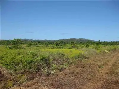 Sixth view of Homely rural property listing, Address available on request