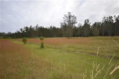 Fourth view of Homely rural property listing, 166 Nevertire Road, Crescent Head NSW 2440