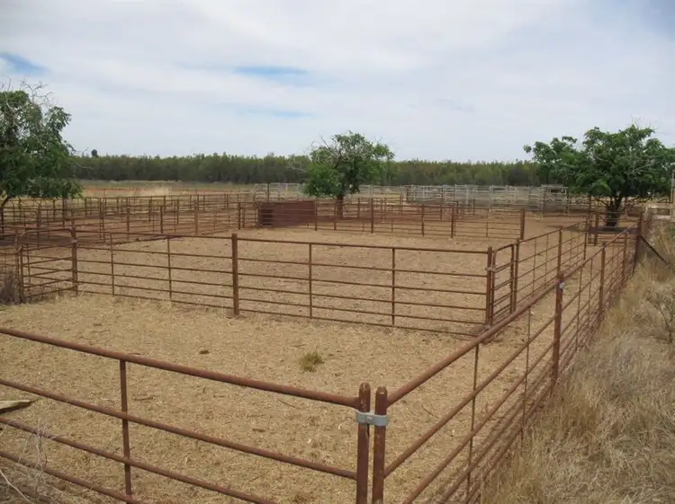 Third view of Homely rural property listing, . Talganna, Ungarie NSW 2669