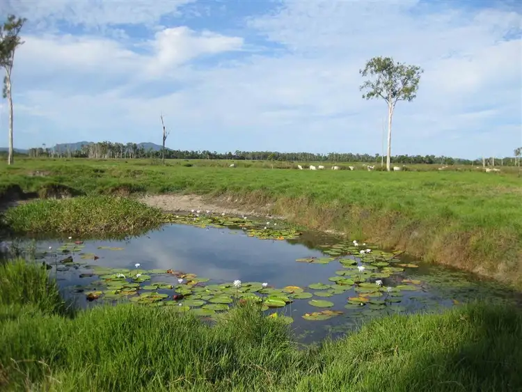 Fourth view of Homely rural property listing, 0 Rockingham Road, Rockingham QLD 4854