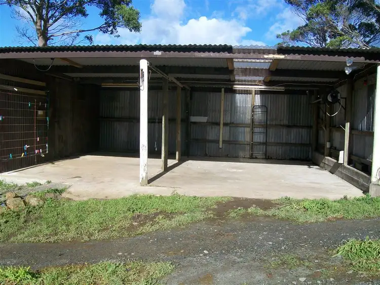 Fifth view of Homely house listing, 137 Brumbys Road, Currie TAS 7256