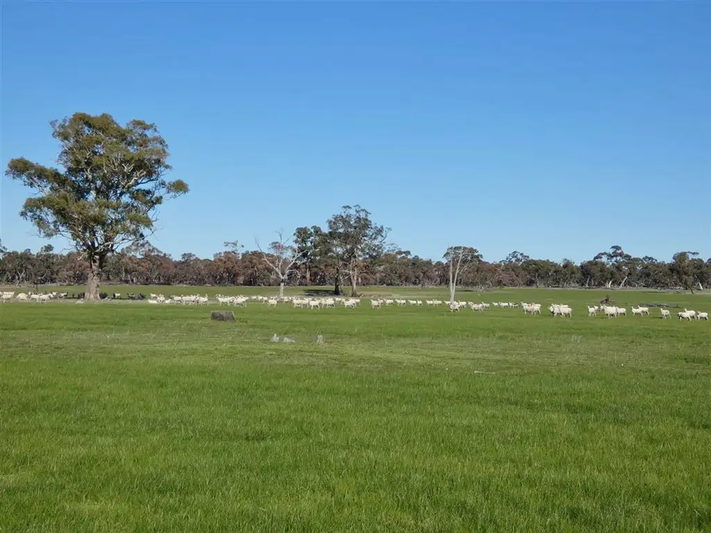 Main view of Homely rural property listing, . via Hobbs Road, Toolondo VIC 3401