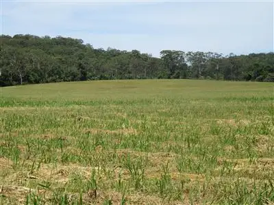 Main view of Homely rural property listing, 1 Fig Tree Lane, North Arm QLD 4561