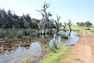 Second view of Homely rural property listing, 905 Red Gully Road, Red Gully WA 6503
