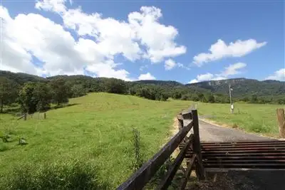 Seventh view of Homely rural property listing, 3033 Nerang-Murwillumbah Road, Springbrook QLD
