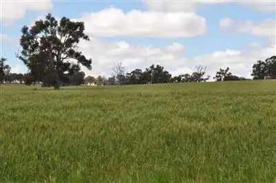 Second view of Homely rural property listing, Address available on request