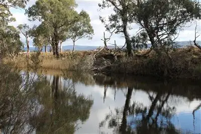 Lot 1 Wallaby Hill Road, Braidwood NSW 2622