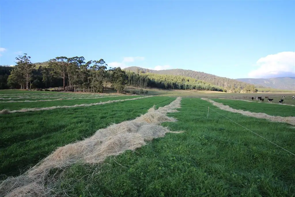 Main view of Homely rural property listing, 23 Robinsons Road, Ringarooma TAS 7263