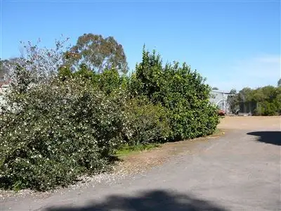 Seventh view of Homely rural property listing, 501 knight road, Benalla VIC 3672