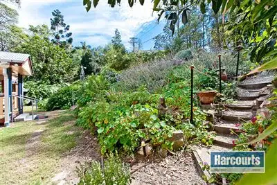 Second view of Homely house listing, 77 Yarrabee Road, The Gap QLD 4061