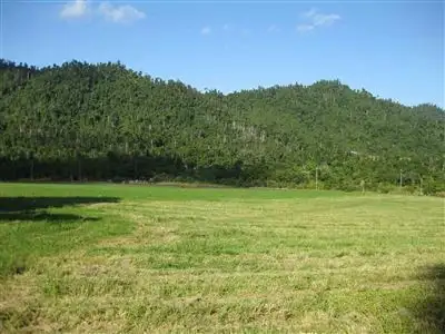 Second view of Homely rural property listing, Address available on request