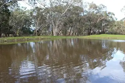 Third view of Homely rural property listing, 000 McCutcheons Road, Cavendish VIC 3314
