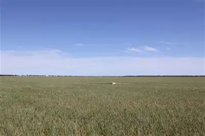 Fifth view of Homely rural property listing, "Ceduna" & "Koonibba", Ceduna SA 5690