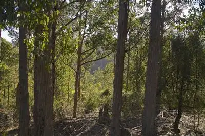 Seventh view of Homely land listing, - Judds Creek Road, Judbury TAS 7109