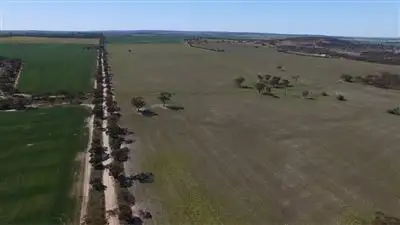 Sixth view of Homely rural property listing, . Greylands, Kellerberrin WA 6410