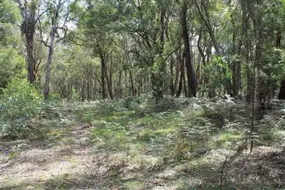 Fourth view of Homely rural property listing, Lot 2 Back Creek Road, Braidwood NSW 2622