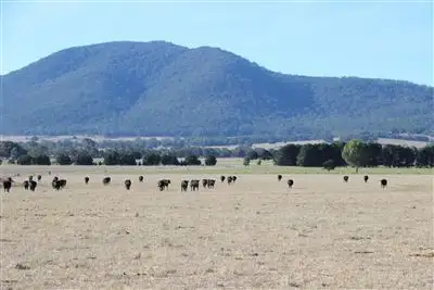 Third view of Homely rural property listing, . Western Highway, Middle Creek VIC 3375