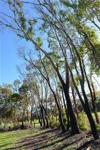 Seventh view of Homely land listing, Lot 60 Greenhills Road, Victor Harbor SA 5211