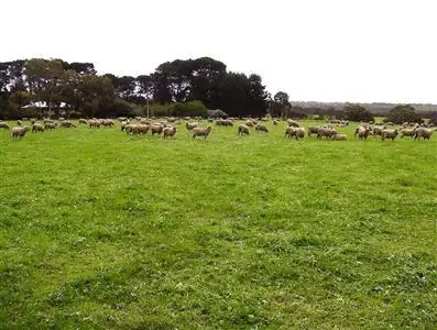 Sixth view of Homely rural property listing, 14 East West Two Highway, Parndana SA 5220