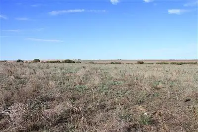 Fifth view of Homely rural property listing, Lt 146 Baumgurtel Road, Wynarka SA 5306