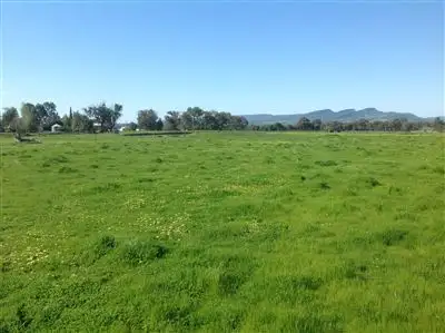 Main view of Homely rural property listing, 800 Gerogery Road, Table Top NSW 2640