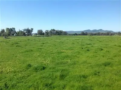Main view of Homely rural property listing, 800 Gerogery Road, Table Top NSW 2640