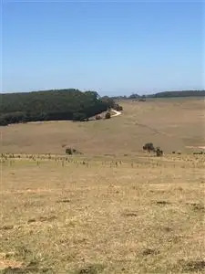 Sixth view of Homely rural property listing, 0 McLean Street, Digby VIC 3309