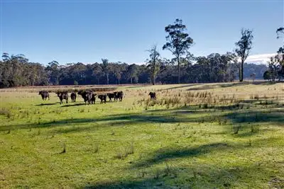 Second view of Homely house listing, 3198 West Tamar Hwy, Sidmouth TAS 7270