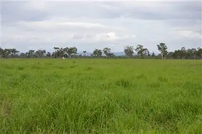 Fourth view of Homely rural property listing, 69066 Bruce Highway, Kunwarara QLD 4702