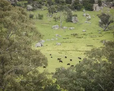 Fourth view of Homely rural property listing, 2080 Euroa - Mansfield Road, Euroa VIC 3666
