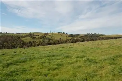 Sixth view of Homely rural property listing, Glencoe Tumbarumba Road, Wagga Wagga NSW 2650