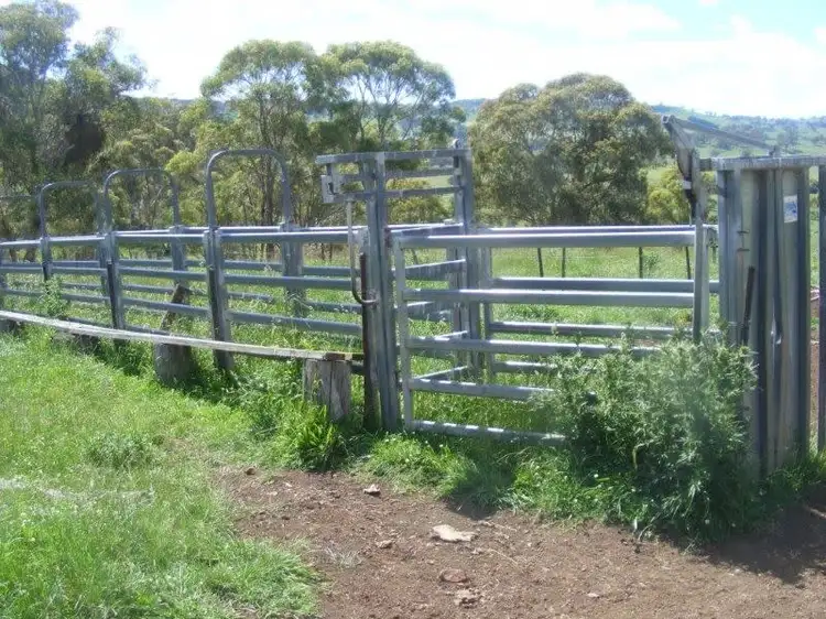 Fifth view of Homely rural property listing, BeardyView/987 Haymarket Road, Glen Innes NSW 2370
