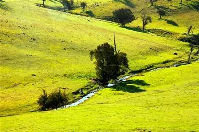 Sixth view of Homely rural property listing, 198 Connells Lane 'Dowan Hill', Yass NSW 2582
