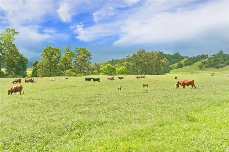 161 Greenhills Road, Upper Taylors Arm NSW 2447