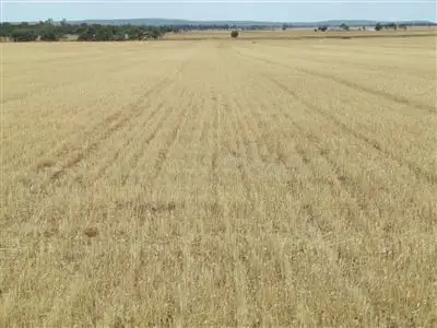 Third view of Homely rural property listing, Address available on request