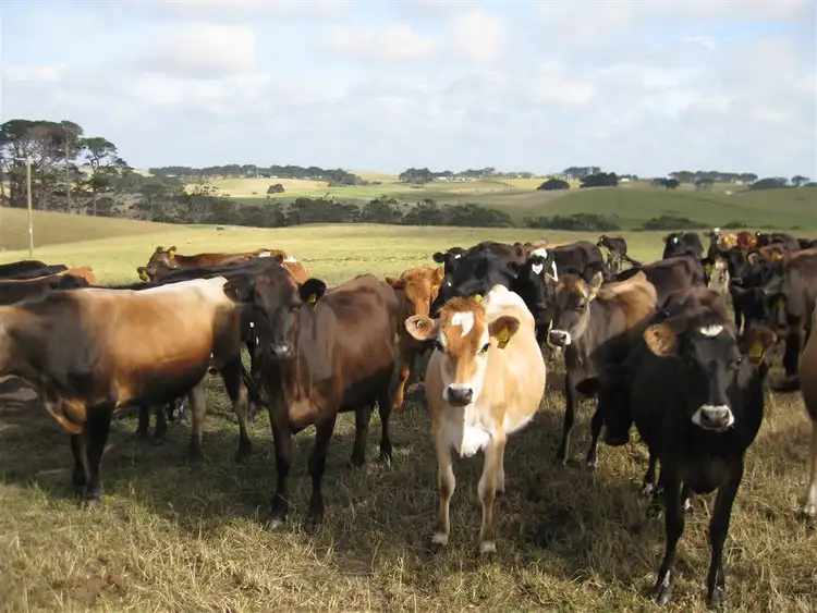 Fourth view of Homely rural property listing, 202 Chequers Road, Marrawah TAS 7330