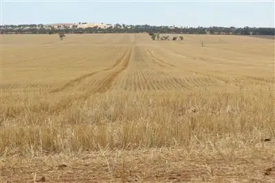 Second view of Homely rural property listing, . "MEDINA", TULLIBIGEAL, West Wyalong NSW 2671