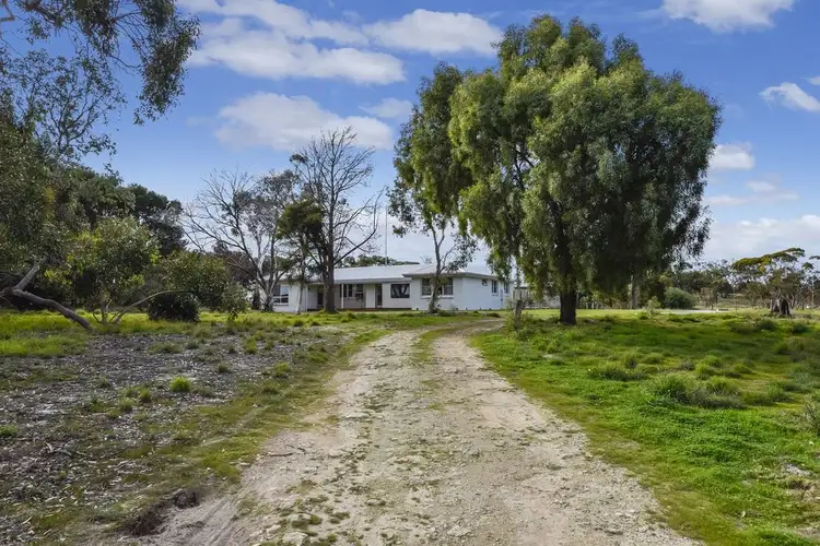 Third view of Homely rural property listing, 630 Red Bluff Road, Bordertown SA 5268
