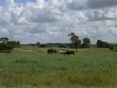 Seventh view of Homely rural property listing, 297 Dry Weather Road, The Caves QLD 4702