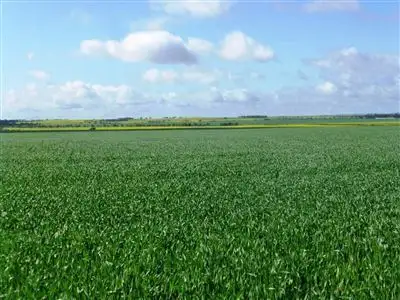 Main view of Homely rural property listing, Address available on request