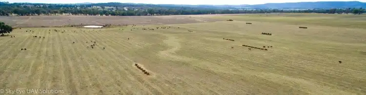 Seventh view of Homely rural property listing, Lot B Henry Parkes Way, Parkes NSW 2870