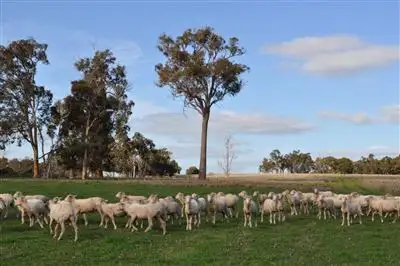 Second view of Homely rural property listing, Address available on request