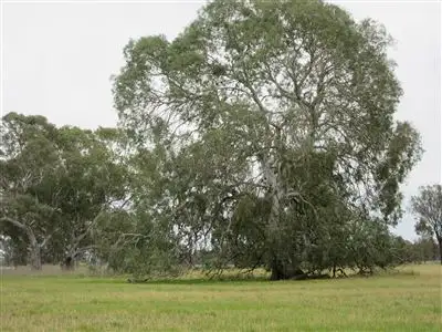 Third view of Homely rural property listing, 1220 Cullens Road, Euroa VIC 3666